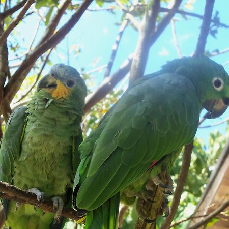Refugio De Orquideas Villa Oxapampa Ngoại thất bức ảnh