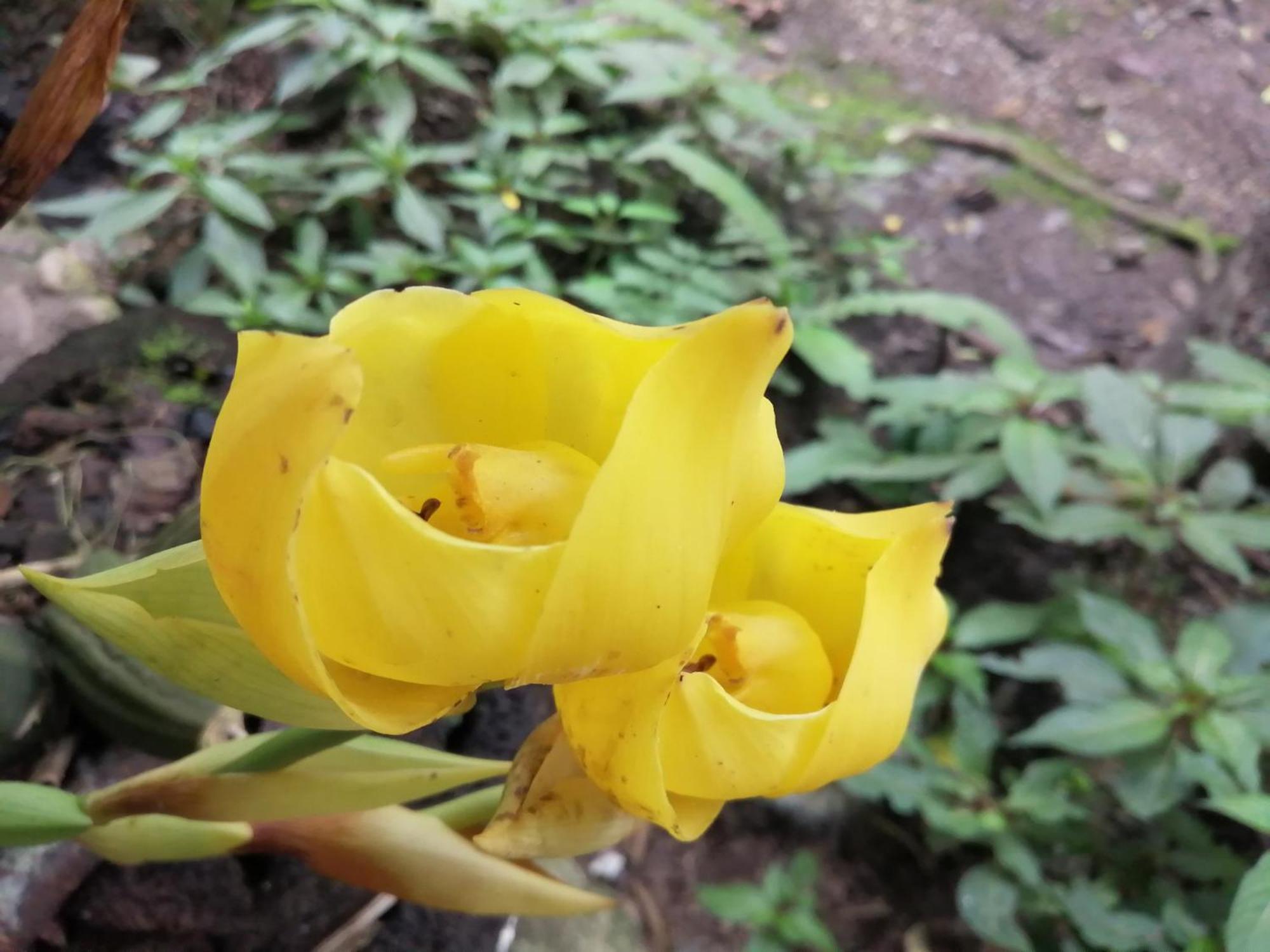Refugio De Orquideas Villa Oxapampa Ngoại thất bức ảnh