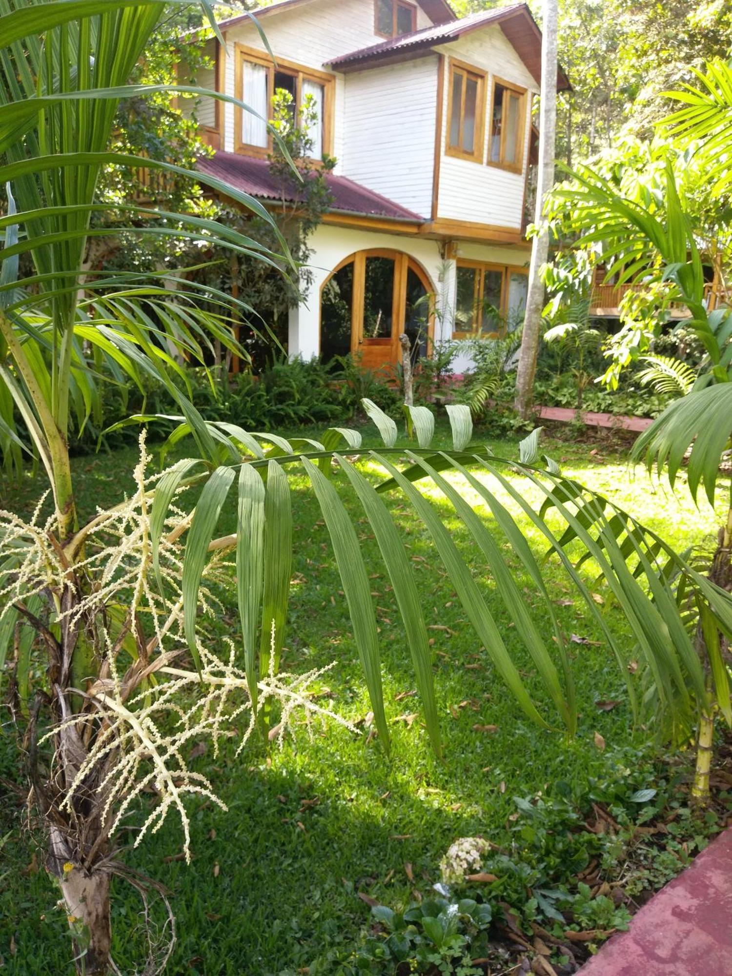 Refugio De Orquideas Villa Oxapampa Ngoại thất bức ảnh