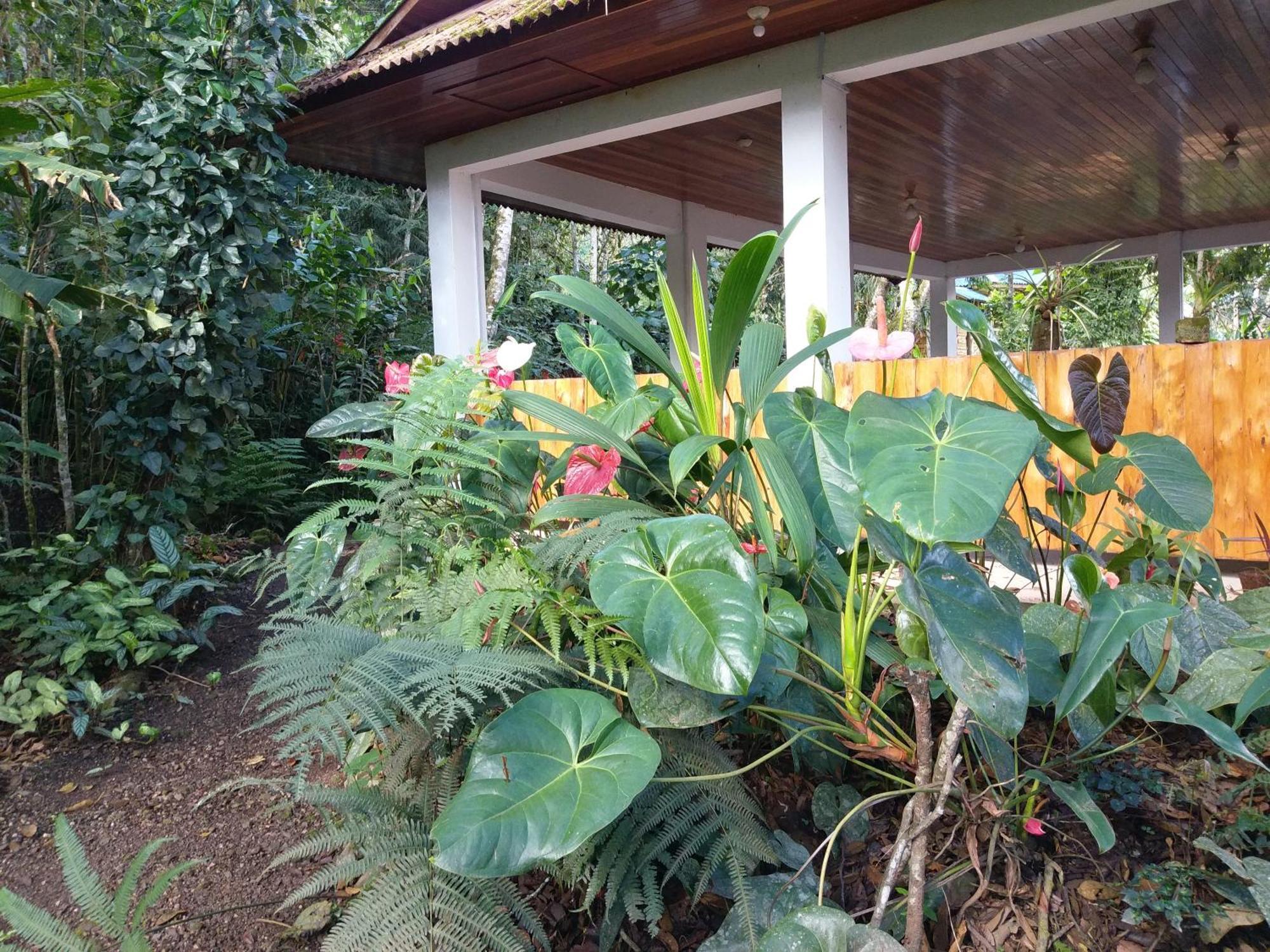 Refugio De Orquideas Villa Oxapampa Ngoại thất bức ảnh