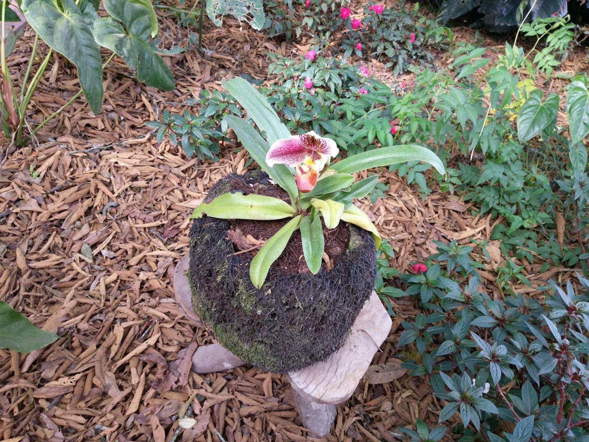 Refugio De Orquideas Villa Oxapampa Ngoại thất bức ảnh