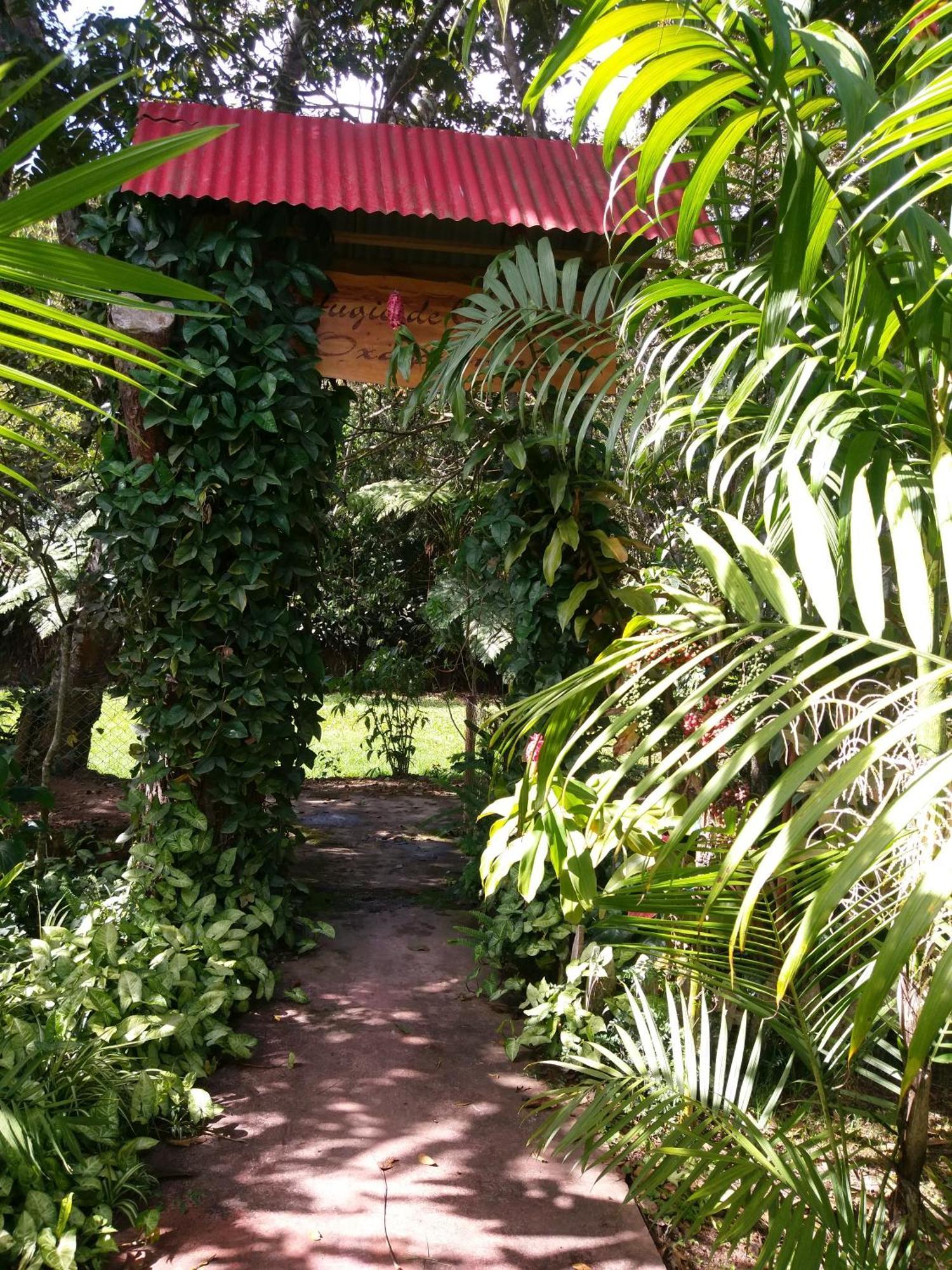 Refugio De Orquideas Villa Oxapampa Ngoại thất bức ảnh
