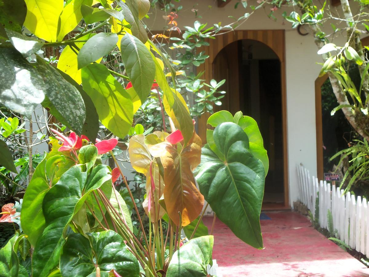 Refugio De Orquideas Villa Oxapampa Ngoại thất bức ảnh