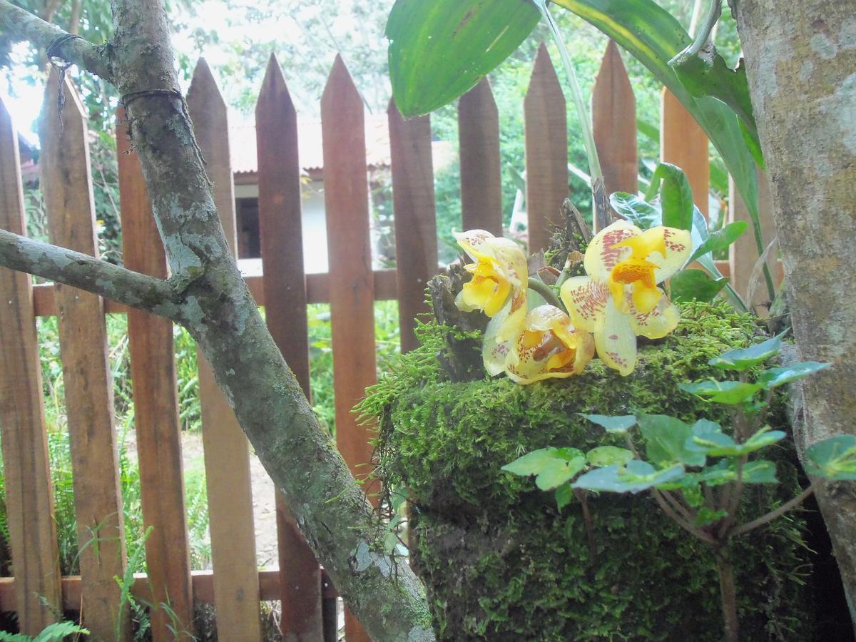 Refugio De Orquideas Villa Oxapampa Ngoại thất bức ảnh